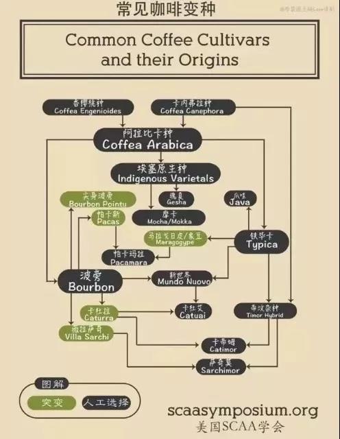 unified和common的区别 common,usual,normal的区别 
