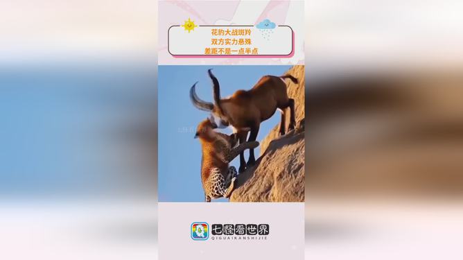 毅腾迎战国安：实力悬殊的较量只为赢球？的简单介绍